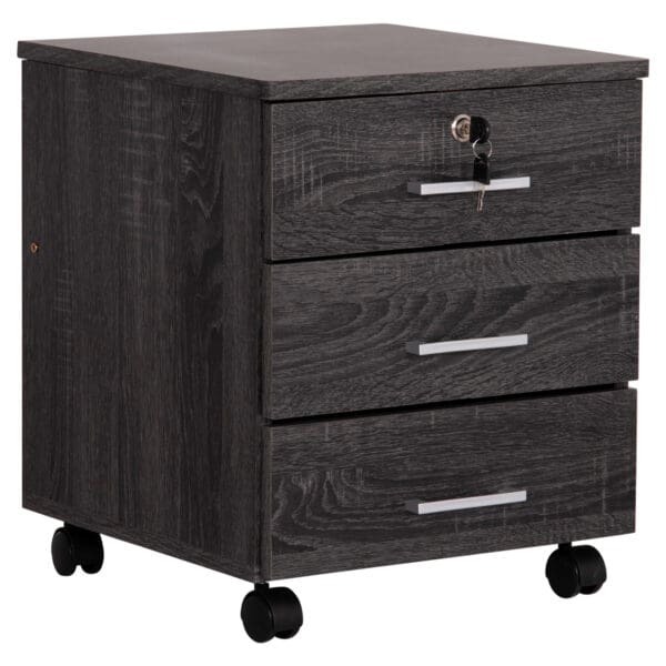 ΣΥΡΤΑΡΙΕΡΑ ΓΡΑΦΕΙΟΥ HAYDEN HM2282.01 ΣΕ ΑΝΘΡΑΚΙ ΧΡΩΜΑ 39x39,5x46,5