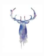 Brookpace Lascelles - Art Print Watercolour Stag Με Ξύλινη Κορνίζα - Image 2