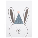Raeder - Postcard Party Animals Bunny