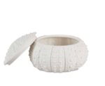 Andrea House - Κουτί Κοσμημάτων Sea Urchin D23cm - Image 2