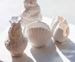 Andrea House - Βάζο Scallop - Image 2