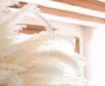 Andrea House - Αποξηραμένα Λουλούδια 3τμχ Pampas White 105cm - Image 5