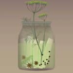 Vissevasse - Αφίσα 30x40cm Pickled Cucumbers