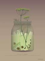 Vissevasse - Αφίσα 30x40cm Pickled Cucumbers