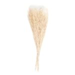Andrea House - Αποξηραμένα Λουλούδια Statice Natural 70cm