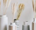 Andrea House - Αποξηραμένα Λουλούδια 6τμχ White Phragmitos 70cm - Image 2