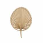 Andrea House - Διακοσμητικό Φύλλο Palm Leave 42cm