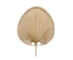 Andrea House - Διακοσμητικό Φύλλο Palm Leave 54cm
