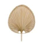Andrea House - Διακοσμητικό Φύλλο Palm Leave 54cm