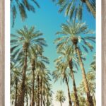 Brookpace Lascelles - Art Print Beverly Hills Palms Με Ξύλινη Κορνίζα