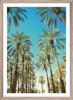 Brookpace Lascelles - Art Print Beverly Hills Palms Με Ξύλινη Κορνίζα