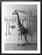 Brookpace Lascelles - Art Print Giraffe In The Room Με Κορνίζα Black Box