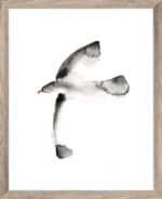 Brookpace Lascelles - Art Print Watercolour Seagull Με Ξύλινη Κορνίζα