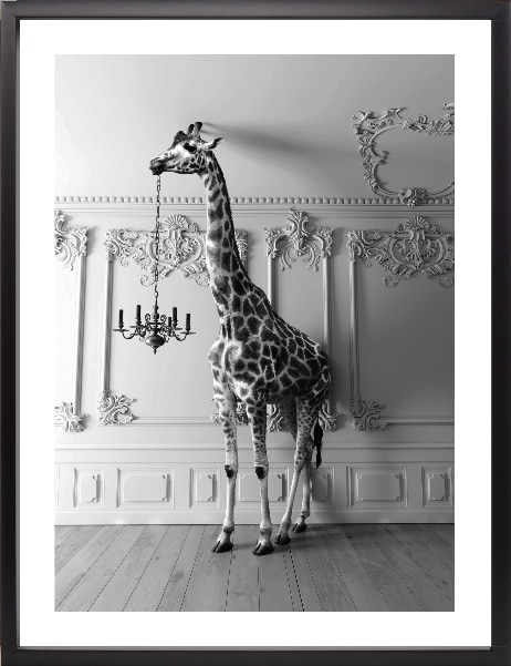 framedpicture Brookpace Lascelles - Art Print Giraffe In The Room Με Κορνίζα Black Box - Image 1