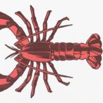 Artsy Mats - Αντιολισθητικό Πατάκι Μπάνιου Lobster White Stone 39x60cm - Image 2