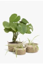 Calma House - Καλάθι Seagrass Dulse Natural 25x15cm - Image 5