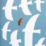 Trevoly By Raeder - Ευχετήρια Κάρτα "Birds"