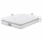 ΣΤΡΩΜΑ CONTINUOUS SPRING ΑΝΩΣΤΡΩΜΑ ALOE VERA 160X200 HM372.16 ΜΟΝΗΣ ΟΨΗΣ - Image 2