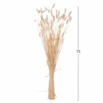 ΔΙΑΚΟΣΜΗΤΙΚΟ ΜΠΟΥΚΕΤΟ ΑΠΟΞΗΡΑΜΕΝΟ HM7959 RABBIT TAIL- CREAM 50gr 76Υεκ. - Image 2