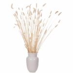 ΔΙΑΚΟΣΜΗΤΙΚΟ ΜΠΟΥΚΕΤΟ ΑΠΟΞΗΡΑΜΕΝΟ HM7959 RABBIT TAIL- CREAM 50gr 76Υεκ. - Image 5