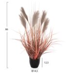 ΔΙΑΚΟΣΜΗΤΙΚΟ ΣΥΝΘΕΤΙΚΟ ΦΥΤΟ ΣΕ ΓΛΑΣΤΡΑ GRASS+FEATHER Φ14,5x12,5-86Υ εκ. HM4015 - Image 2