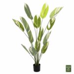 ΔΙΑΚΟΣΜΗΤΙΚΟ ΣΥΝΘΕΤΙΚΟ ΦΥΤΟ HM7997 CALATHEA ΣΕ ΓΛΑΣΤΡΑ 140Υεκ.