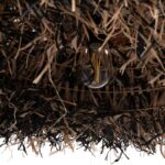ΦΩΤΙΣΤΙΚΟ ΟΡΟΦΗΣ ORDEM HM4715 ΚΑΠΕΛΟ ΙΝΕΣ SISAL & ΜΠΑΝΑΝΑΣ-ΜΑΥΡΟ & ΦΥΣΙΚΟ Φ75εκ - Image 7