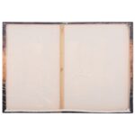 ΠΙΝΑΚΑΣ TOIXOY ΣΕΙΡΑ GOBI HM4861 ΕΚΤΥΠΩΜΕΝΟΣ ΚΑΜΒΑΣ 98x2,5(πάχος)x68Υεκ. - Image 9