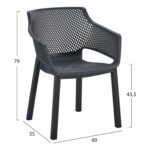 ΠΟΛΥΘΡΟΝΑ ΠΟΛΥΠΡΟΠΥΛΕΝΙΟΥ PEGGY HM6368.02 ΜΑΥΡΟ 60x55x79Υεκ - Image 2
