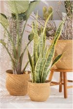 Calma House - Καλάθι Kombu Natural 36x26x31cm - Image 3