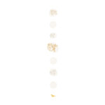 Raeder - Gold branch. Χάρτινη Διακοσμητική Γιρλάντα Goldbird