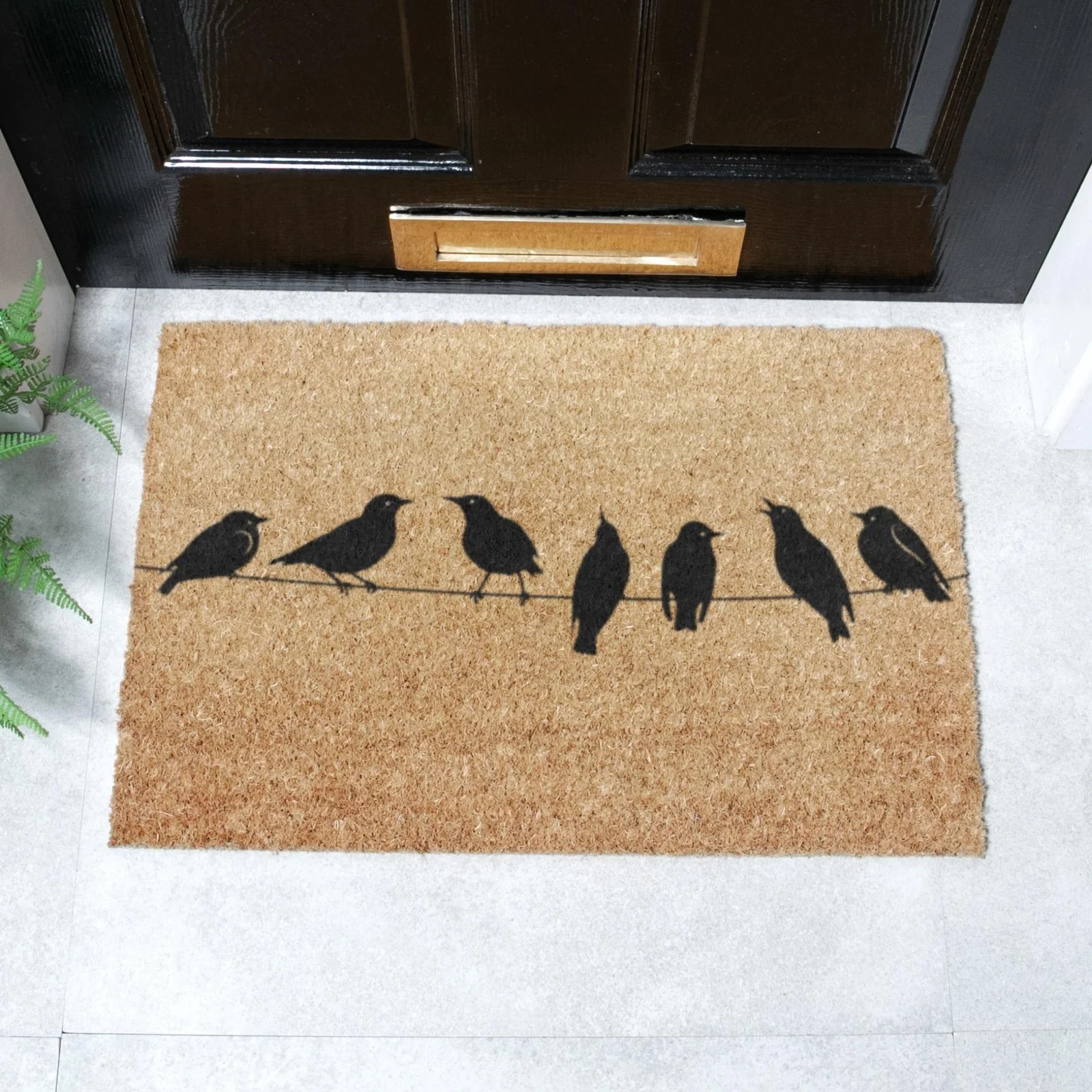 6040-BIRDSONWIRE_1 Artsy Mats - Χαλάκι Εισόδου Birds On Wire 60x40cm - Image 1